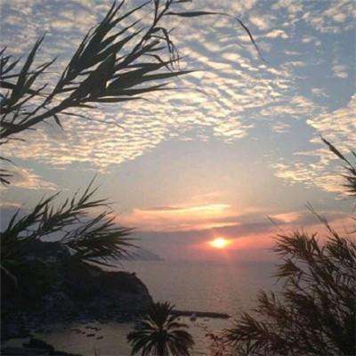 鸭脖app下载鸭脖官网截图