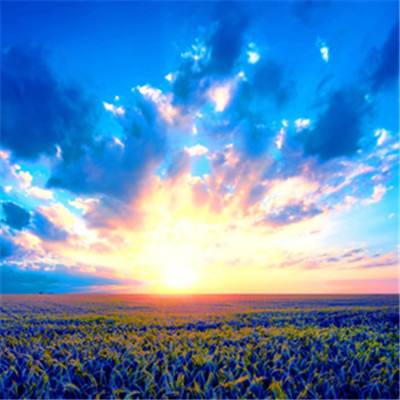 半岛体体育下载