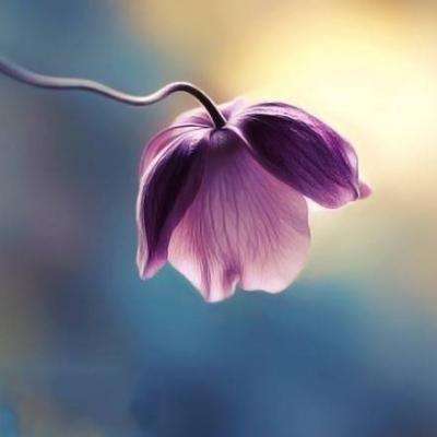 爱游戏全站APP下载截图