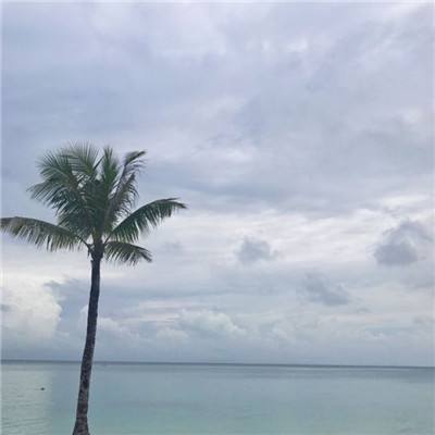 万博手机版max网页版(中国)官方网站app下载